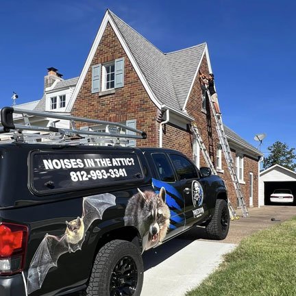 raccoon removal evansville pest removal evansville Wildlife Removal Newburgh Wildlife Removal Owensboro Wildlife Removal Henderson, KY Evansville Raccoon Removal Owensboro Raccoon Removal Henderson, KY Raccoon Removal Newburgh, IN Raccoon Removal Squirrel Removal Evansville Evansville Squirrel Trappers Newburgh Owensboro Henderson, KY
