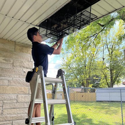 pest removal evansville Evansville, IN Wildlife Removal