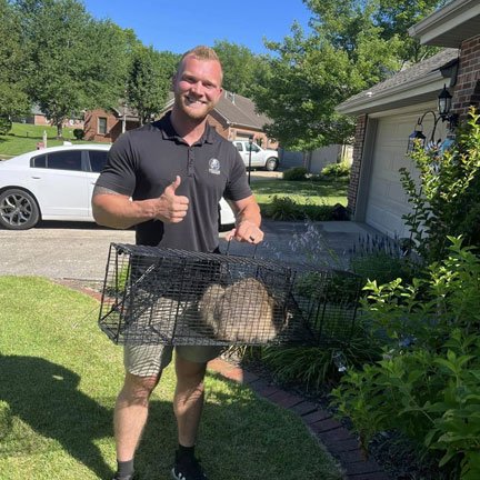 Squirrel Removal Evansville bat removal evansville Bat Removal Evansville Bat Removal Newburgh Bat Removal Henderson, KY Bat Removal Owensboro Evansville Raccoon Removal Owensboro Raccoon Removal Henderson, KY Raccoon Removal Newburgh, IN Raccoon Removal Evansville Squirrel Trappers